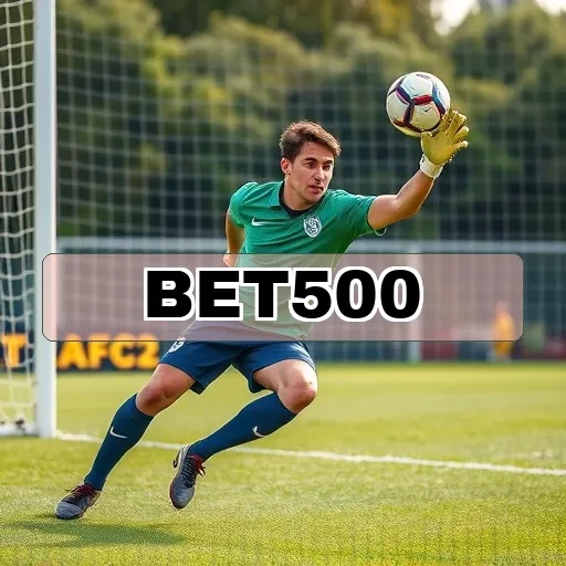 bet 500: Descubra os Recursos de Suporte que Encantam Usuários